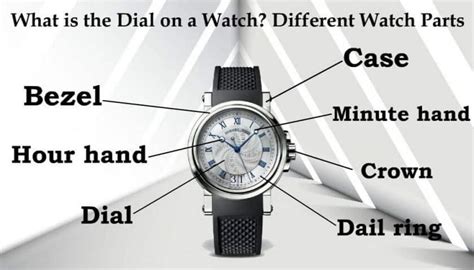 watch sandwich dial|2 30 on watch dial.